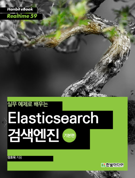 Elasticsearch 검색엔진: 기본편(실무 예제로 배우는)(Hanbit eBook Realtime 59)