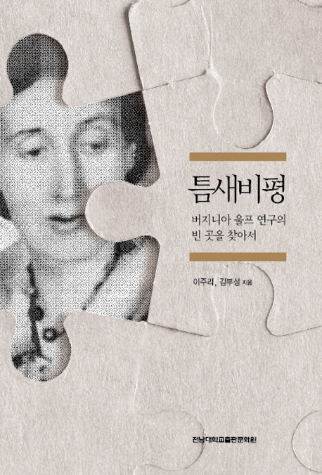 틈새비평