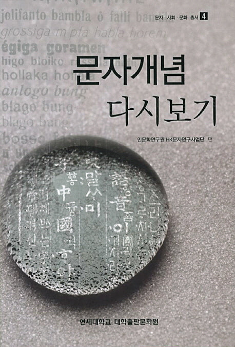 문자개념 다시보기(문자 사회 문화 총서 4)