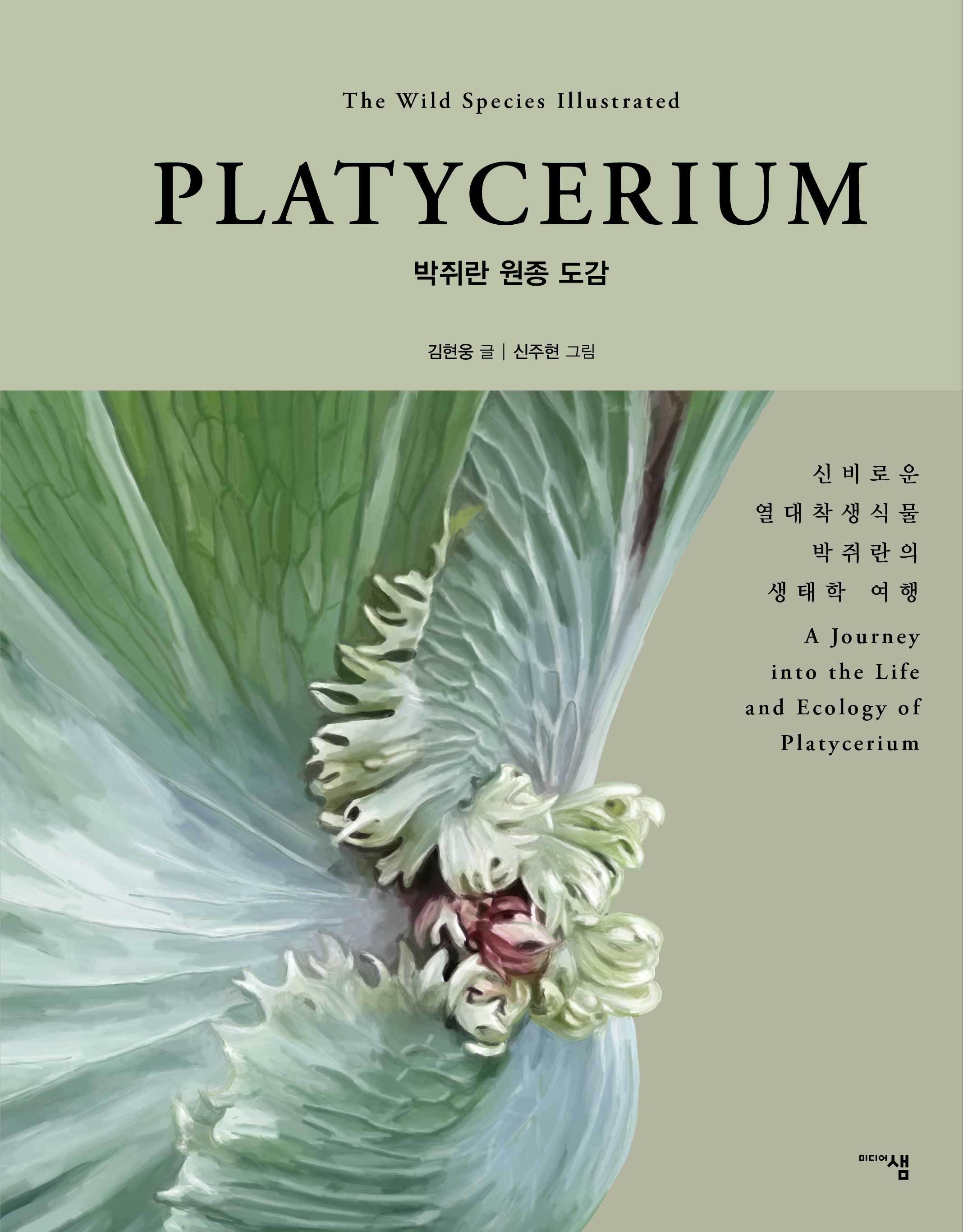 박쥐란 원종 도감 PLATYCERIUM(양장본 Hardcover)