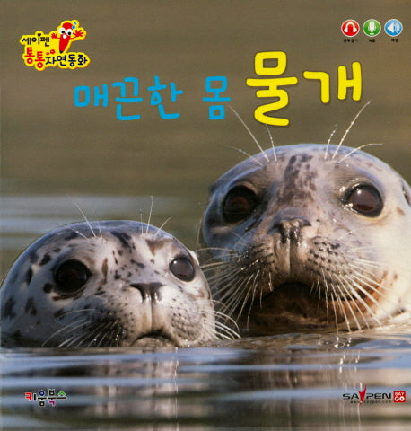 매끈한 몸 물개(세이펜 통통 자연동화)