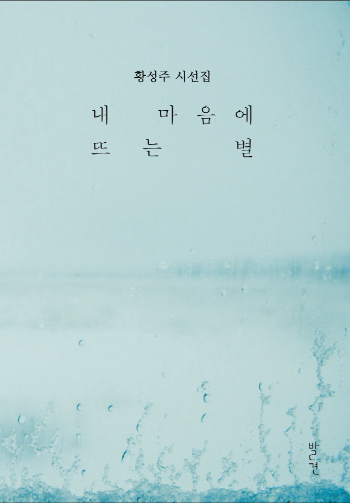 내 마음에 뜨는 별