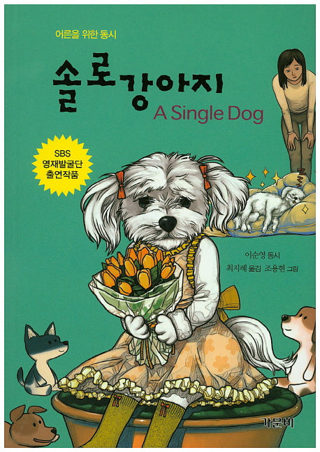 솔로 강아지