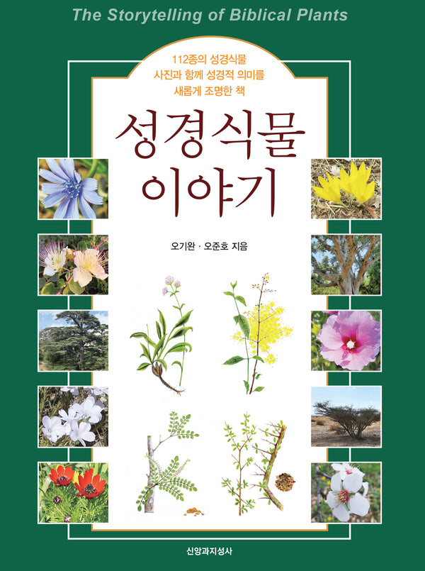 성경식물 이야기