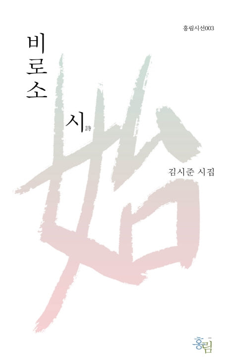 비로소 시(홍림시선 3)