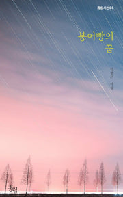 붕어빵의 꿈(홍림시선 4)