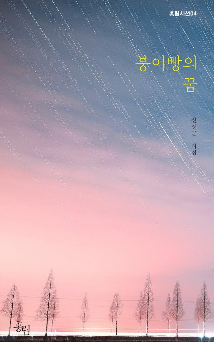 붕어빵의 꿈(홍림시선 4)