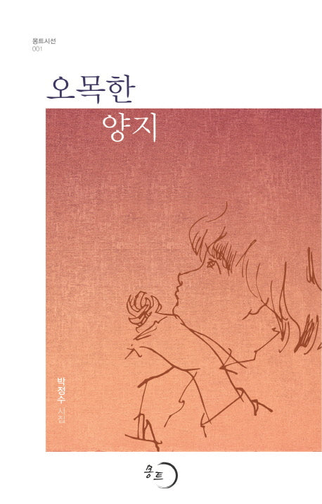 오목한 양지(몽트시선 1)