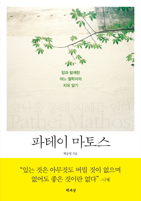 파테이 마토스