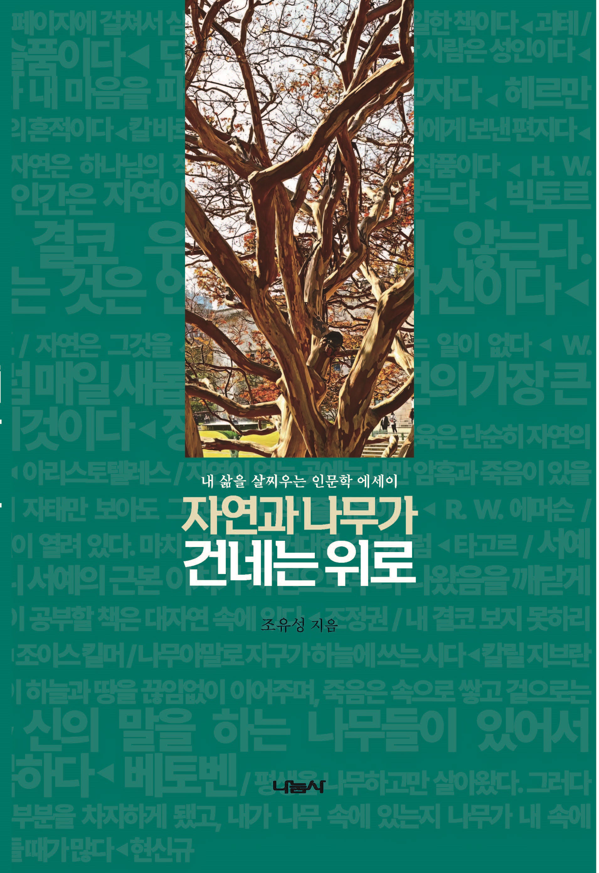 자연과 나무가 건네는 위로