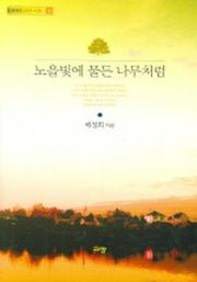 노을빛에 물든 나무처럼