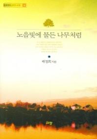노을빛에 물든 나무처럼