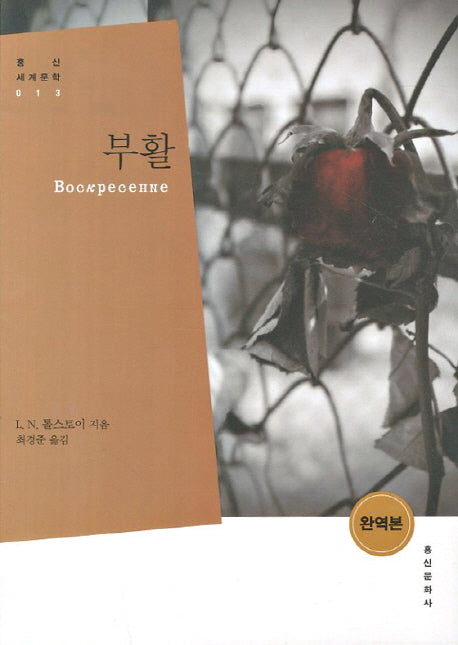 부활(홍신 세계문학 13)