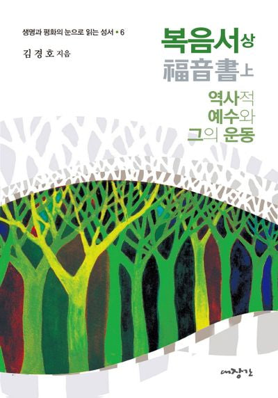 복음서(상): 역사적 예수와 그의 운동(생명과 평화의 눈으로 읽는 성서 6)