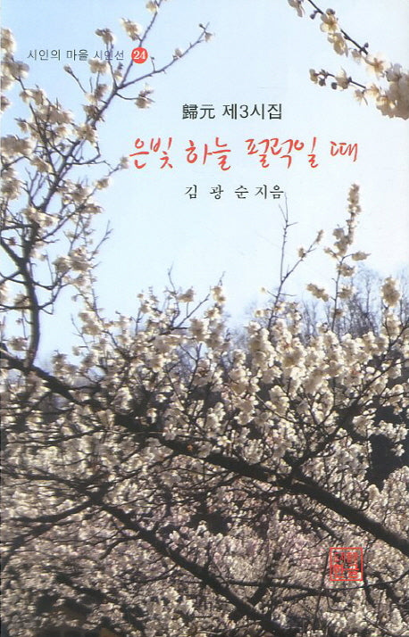 은빛 하늘 펄럭일 때(시인의 마을 시인선 24)