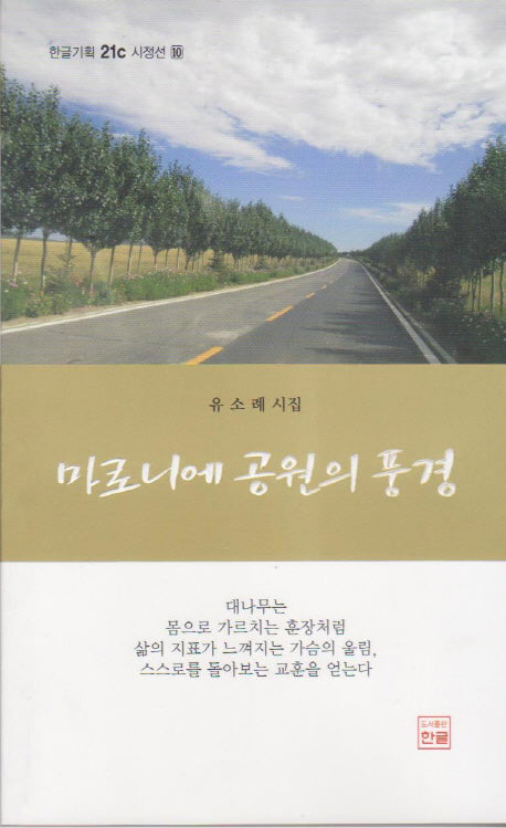 마로니에 공원의 풍경(한글기획 21c 시정선 10)