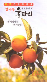 감나무 울타리