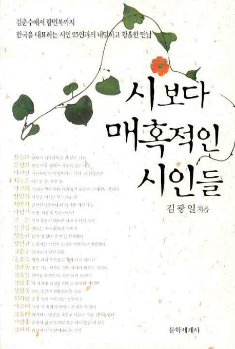 시보다 매혹적인 시인들(반양장)