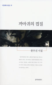 까마귀의 껍질(시인세계 시인선 20)