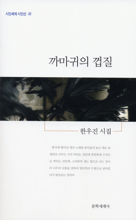 까마귀의 껍질(시인세계 시인선 20)