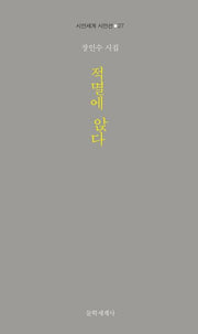 적멸에 앉다(시인세계 시인선 27)