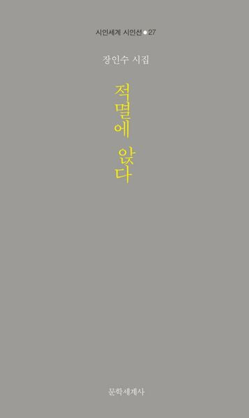 적멸에 앉다(시인세계 시인선 27)