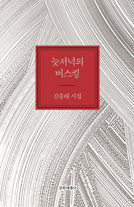 늦저녁의 버스킹(양장본 Hardcover)