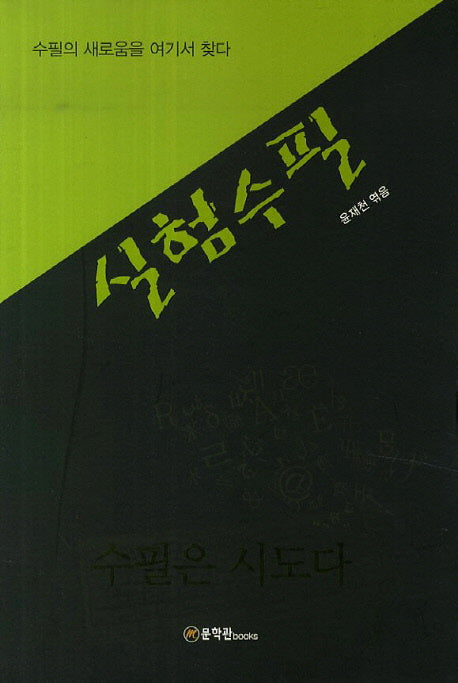 실험수필