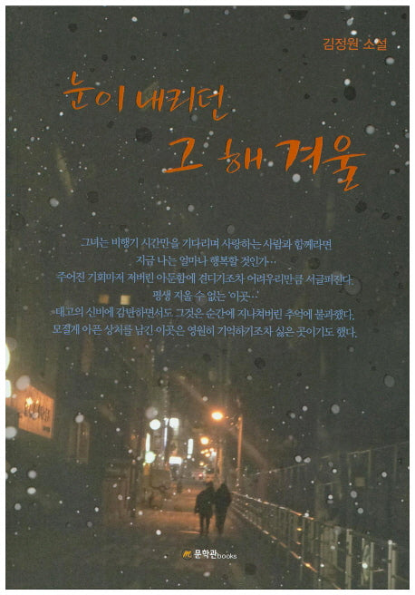 눈이 내리던 그 해 겨울