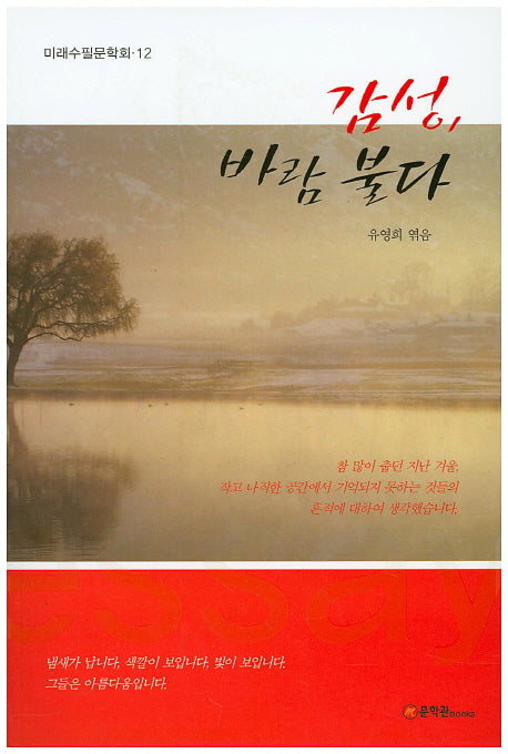 감성 바람 불다(미래수필문학회 12)