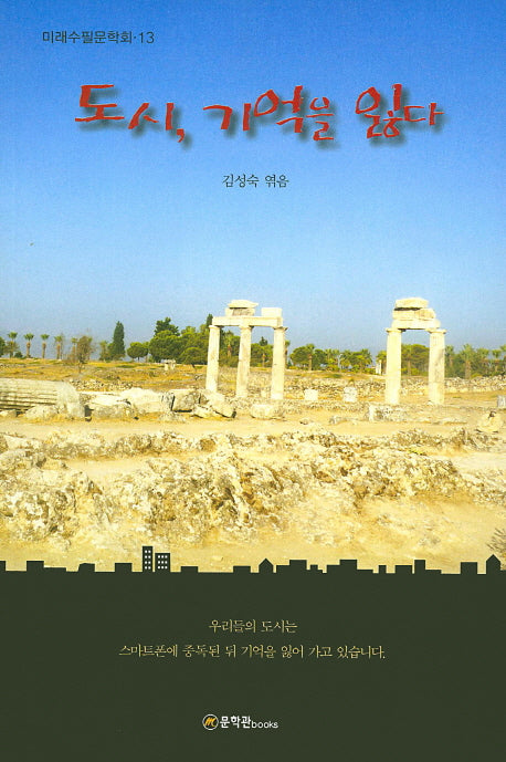도시, 기억을 잃다(미래수필문학회 13)