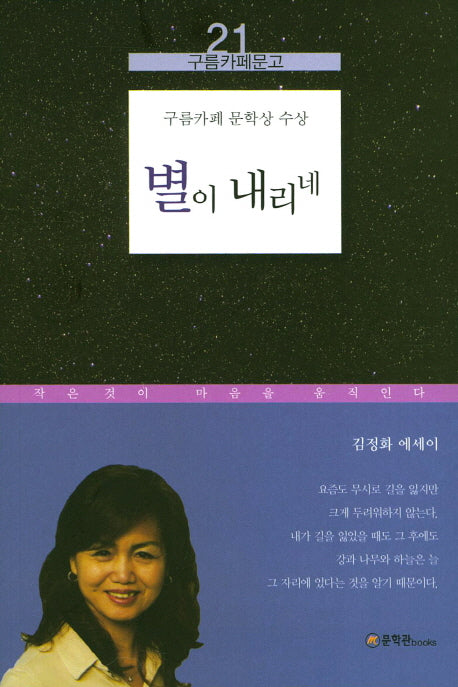 별이 내리네(구름카페문고 21)