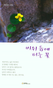 바위 틈에 피는 꽃