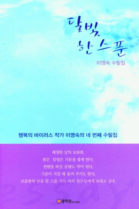 달빛 한스푼