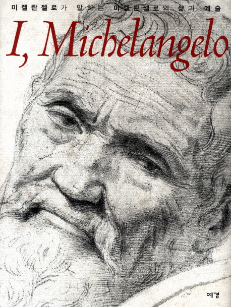 I Michelangelo(아이 미켈란젤로)(양장본 Hardcover)