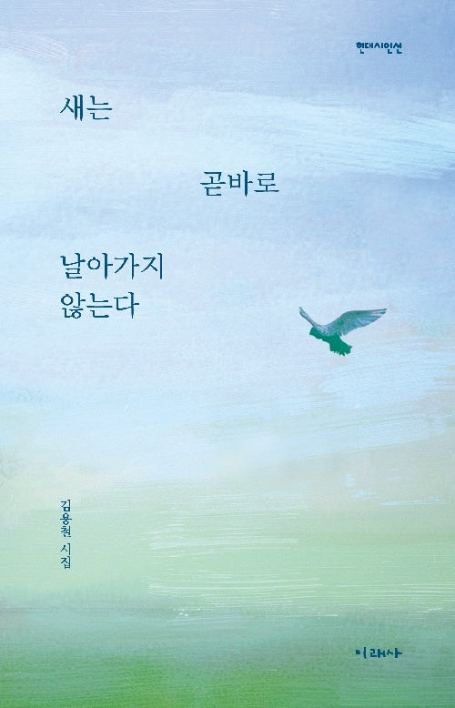 새는 곧바로 날아가지 않는다(현대시인선)