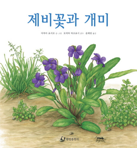 제비꽃과 개미(과학은 내친구)