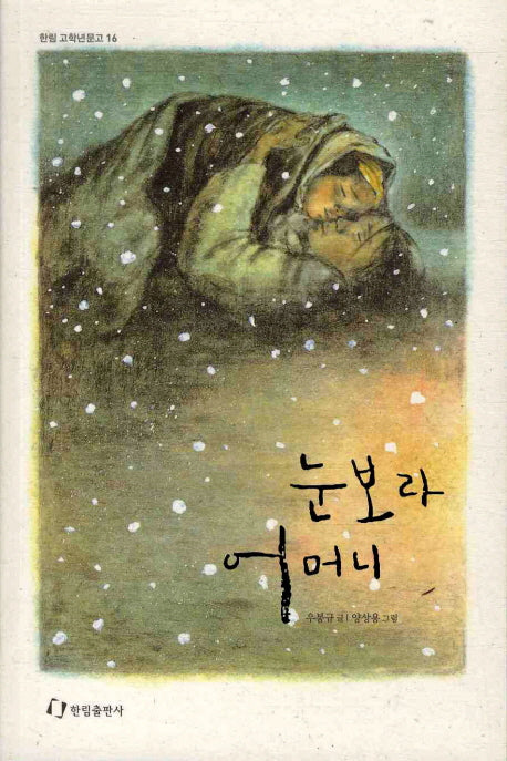 눈보라 어머니(한림 고학년문고 16)
