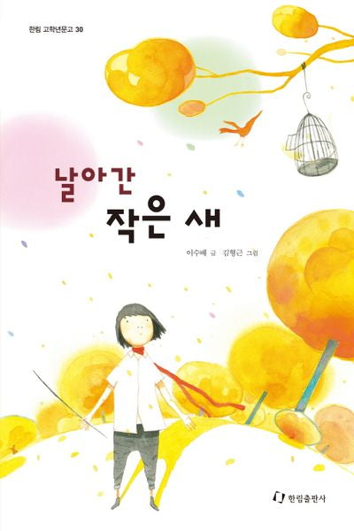날아간 작은 새(한림 고학년문고 30)