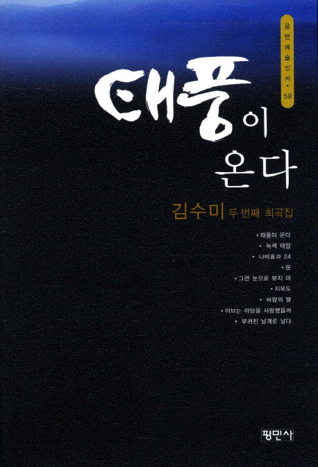 태풍이 온다(공연예술신서 59)