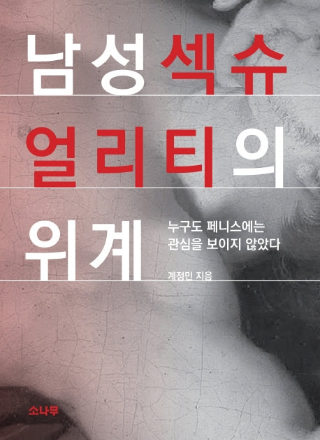 남성섹슈얼리티의 위계