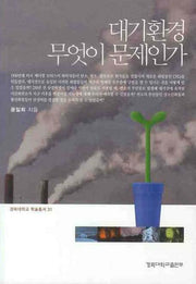 대기환경 무엇이 문제인가