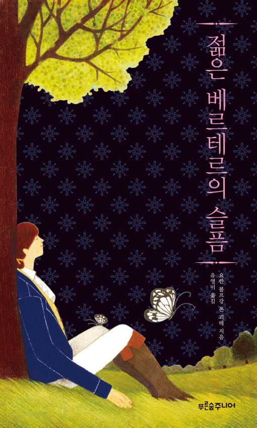 젊은 베르테르의 슬픔(푸른숲 징검다리 클래식 33)