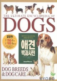 애견 백과사전