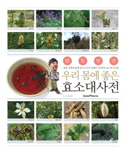 우리 몸에 좋은 효소대사전(비닐)