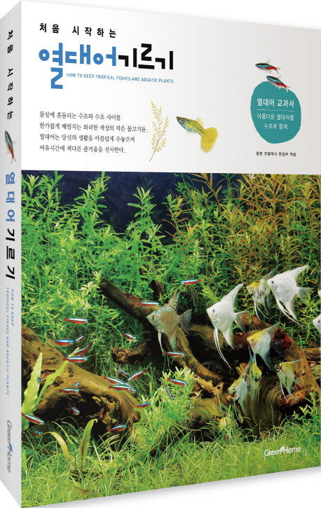 열대어 기르기(처음 시작하는)