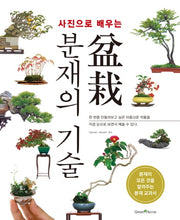 분재의 기술(사진으로 배우는)