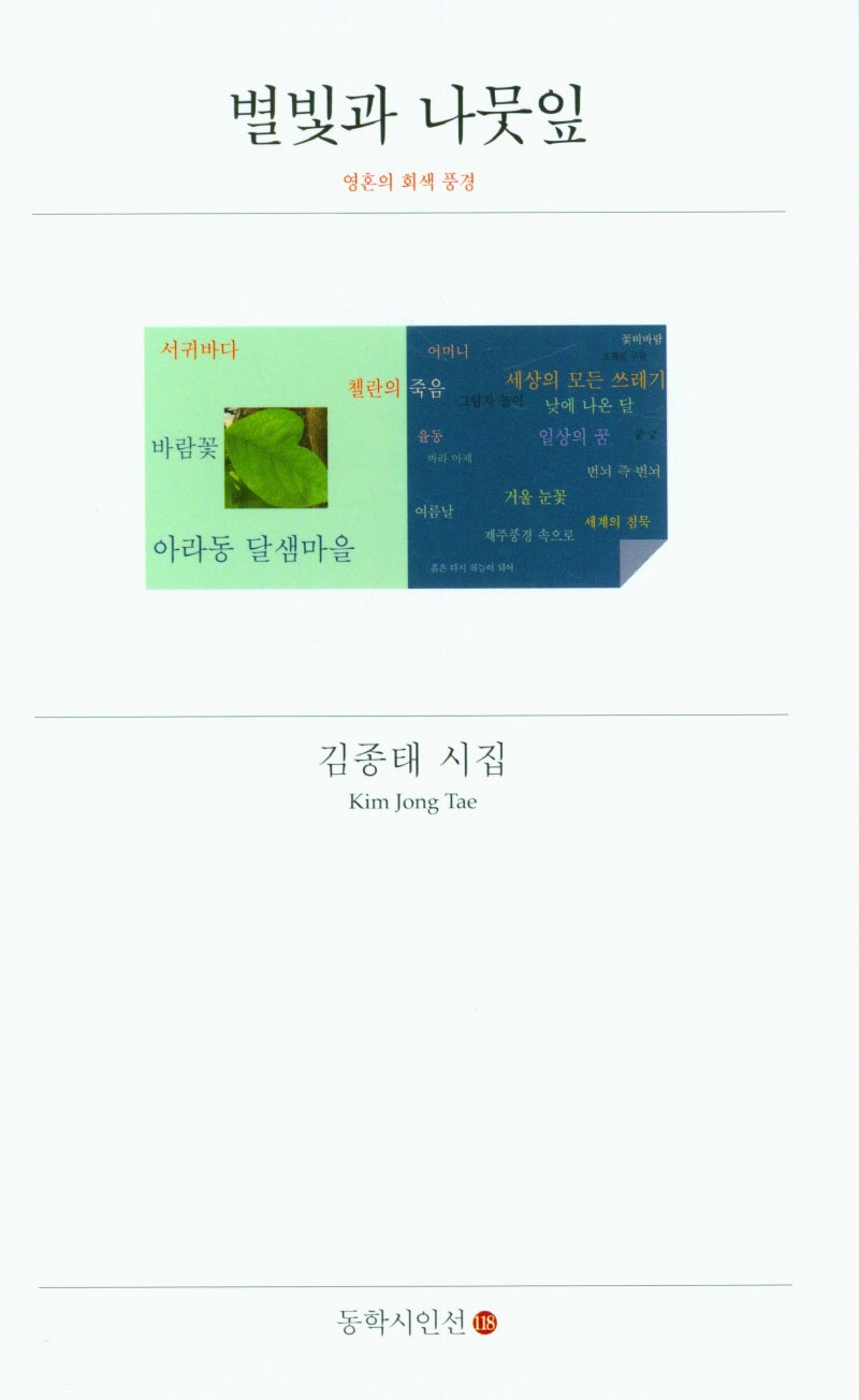 별빛과 나뭇잎