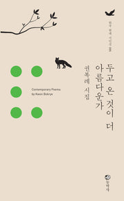 두고 온 것이 더 아름다운가(한국 현대 시인선 55)