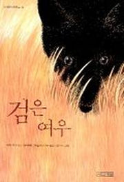 검은 여우(사계절아동문고 45)